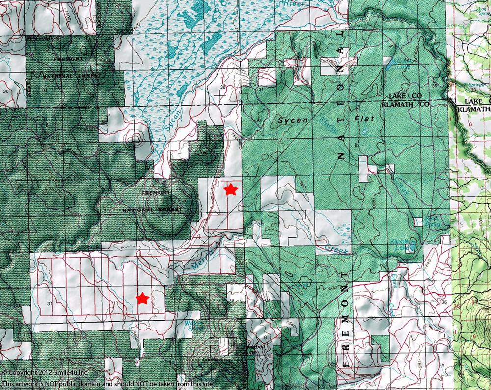 Land for sale in Beatty Oregon